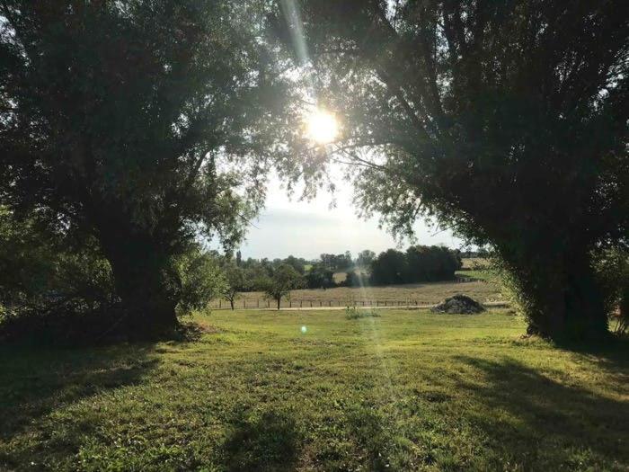Montpont-en-Bresse La Grange A Outeaux B&B 외부 사진